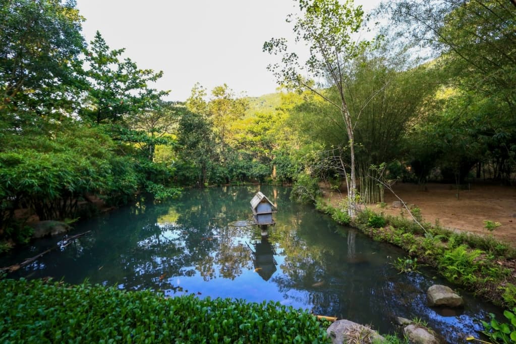 Khám Phá Khu Du Lịch Sinh Thái Sơn Trà Tịnh Viên: Địa Điểm Lý Tưởng Cho Một Chuyến Nghỉ Dưỡng Thư Giãn
