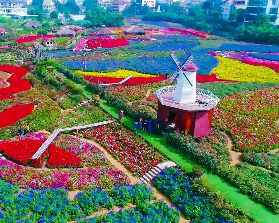 Thung Lũng Hoa Hồ Tây – Thiên Đường Sống Ảo Giữa Lòng Hà Nội