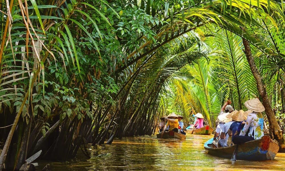 Du lịch sinh thái miền Tây khám phá vẻ đẹp sông nước details-one