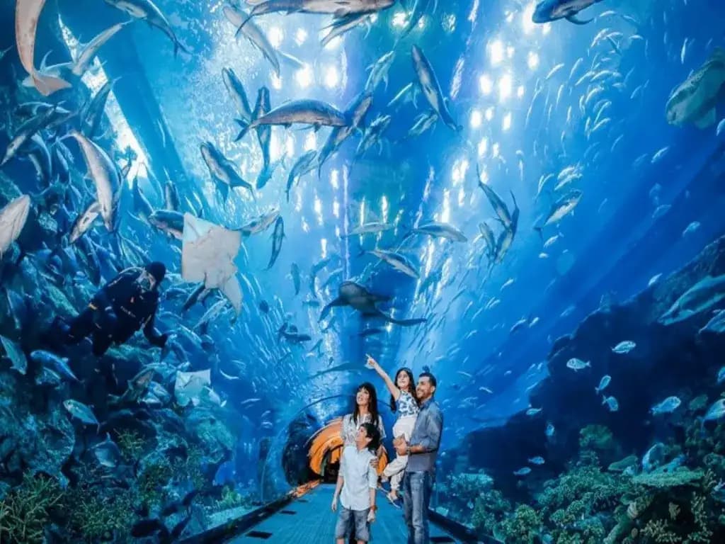Thủy Cung Vinpearl Aquarium Times City: Đại Dương Kỳ Diệu Giữa Lòng Hà Nội details-one